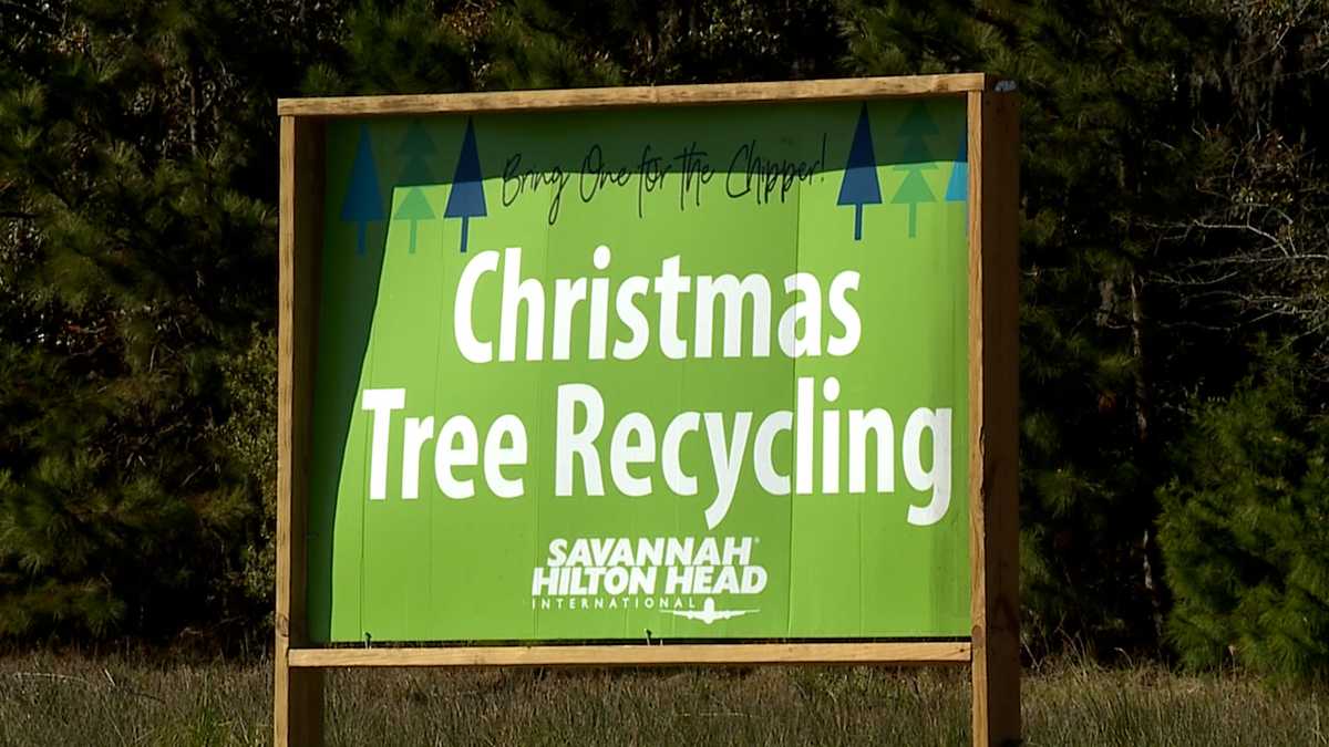 Savannah Discarded Christmas trees to be recycled