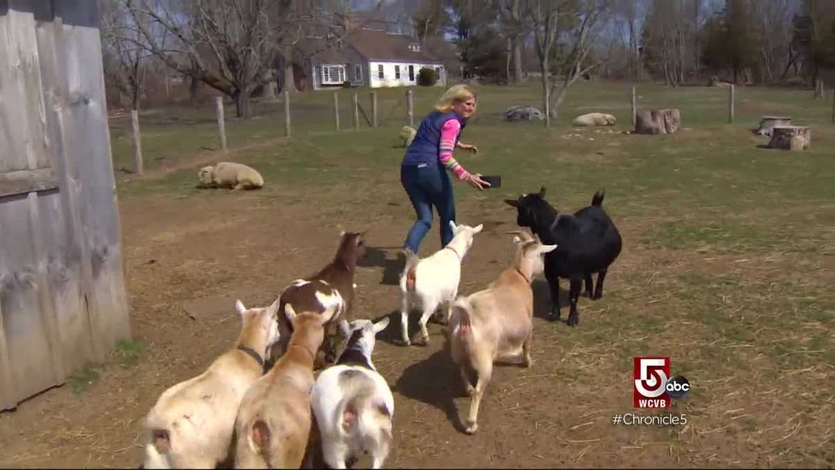 Bristol, RI: A Hope-Filled Farm & a Magnificent Mansion