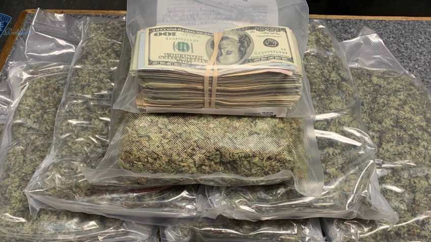 Marijuana, cash