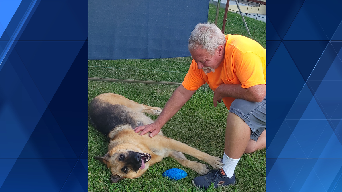 Service dog reunited with owner after going missing in Jefferson Hills