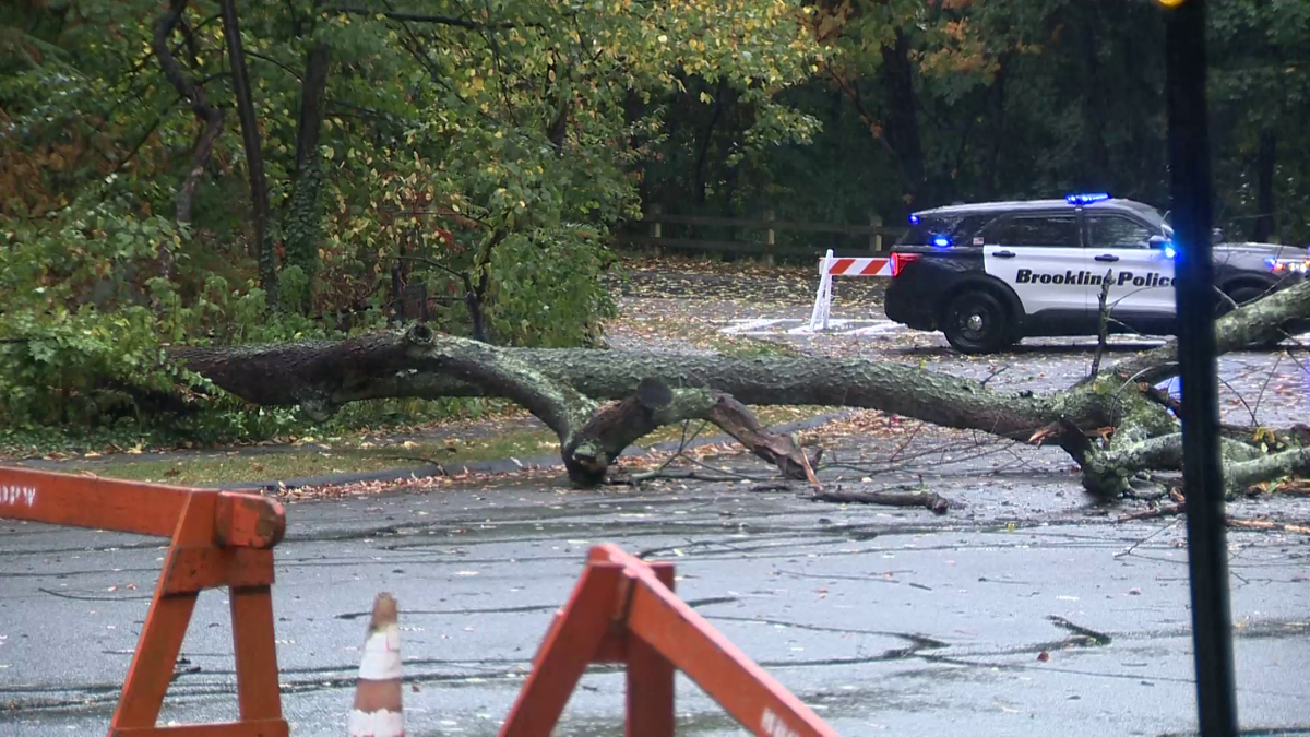 Images: Storm downs trees, power lines