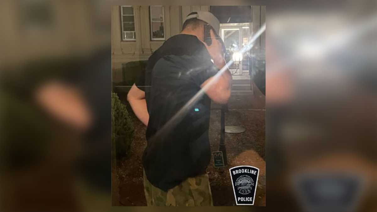Brookline, Boston Police Search Suspects Linked to Multiple Prowler Incidents