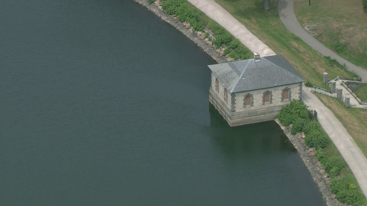 Stay out of the water: Algae blooms in Brookline, Newton pose health risk