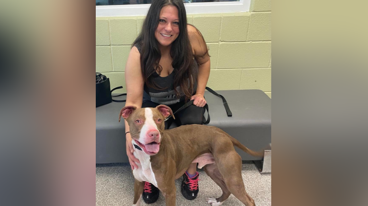 Dog rehomed 3 times gets adopted in Brown County