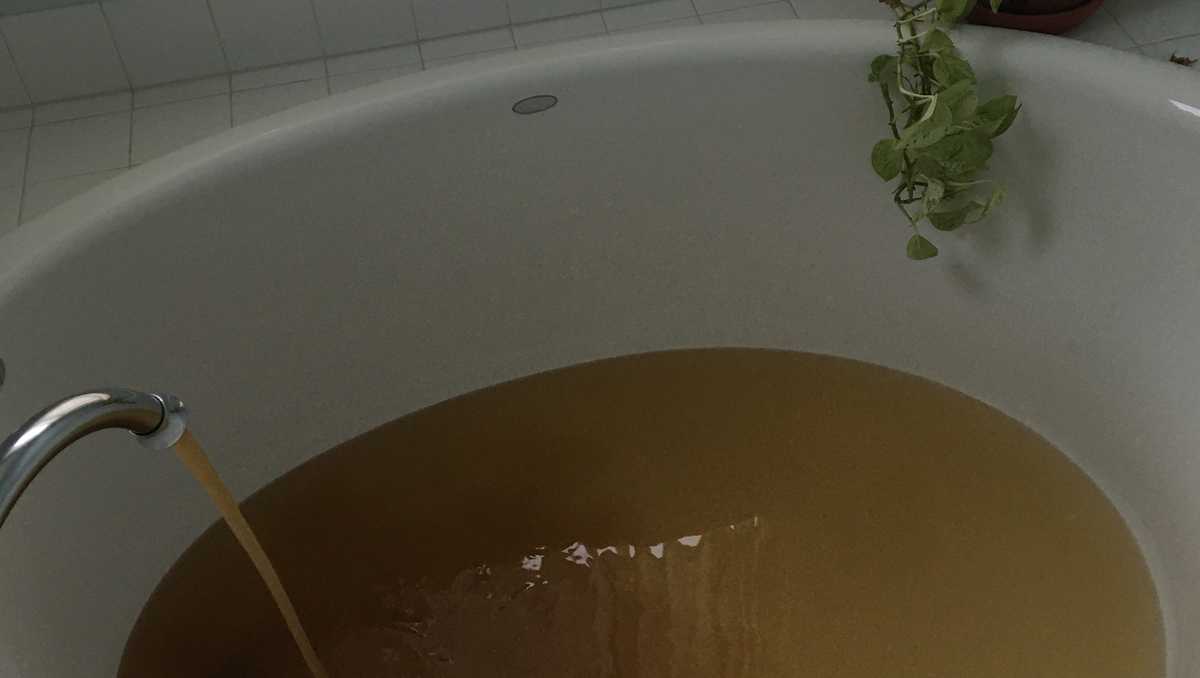Reports of brown water near site of Forest Avenue water main break