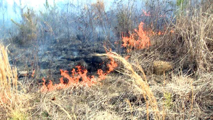Wildfire threat spreads, more Mississippi counties see burn bans