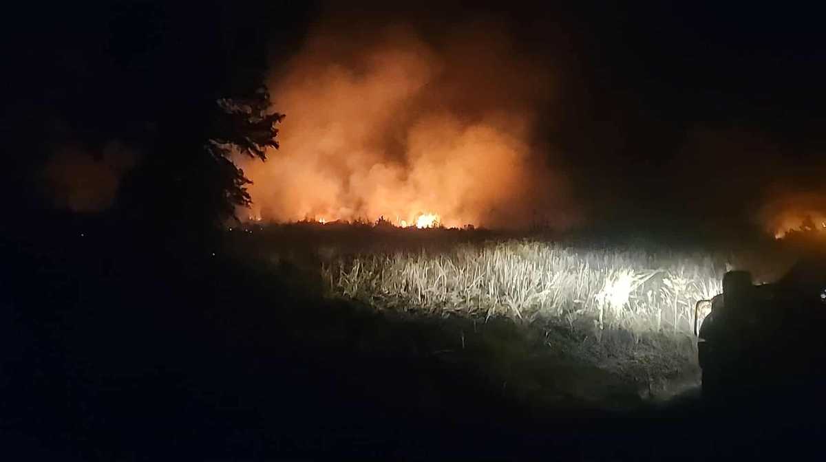Firefighters battle brush fire in Talladega County