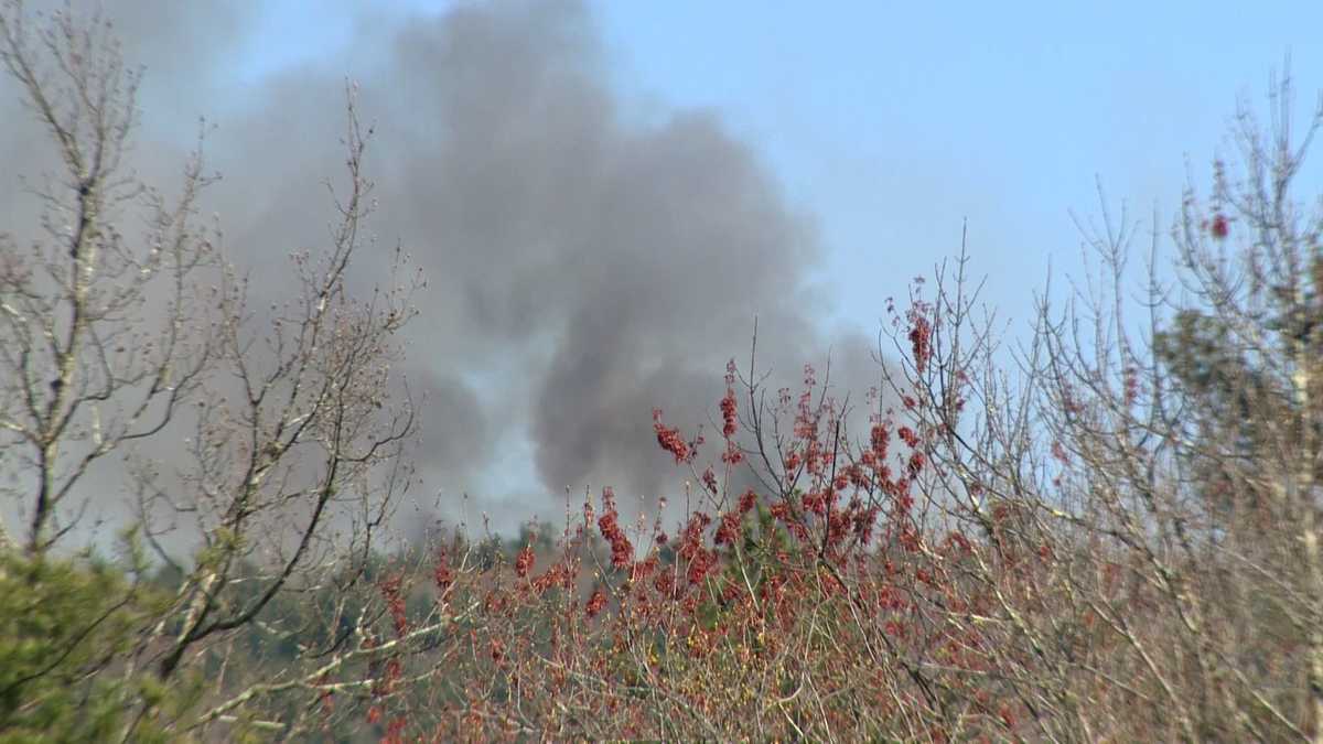 Brush fire burns 16 acres at Blue Hills Reservation in Mass.