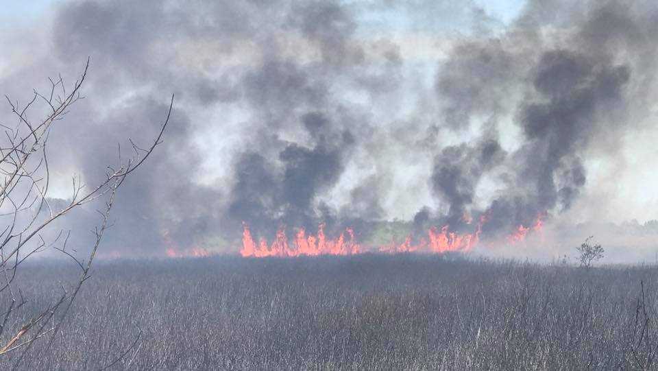 Crews battling brush fire in Fort Pierce