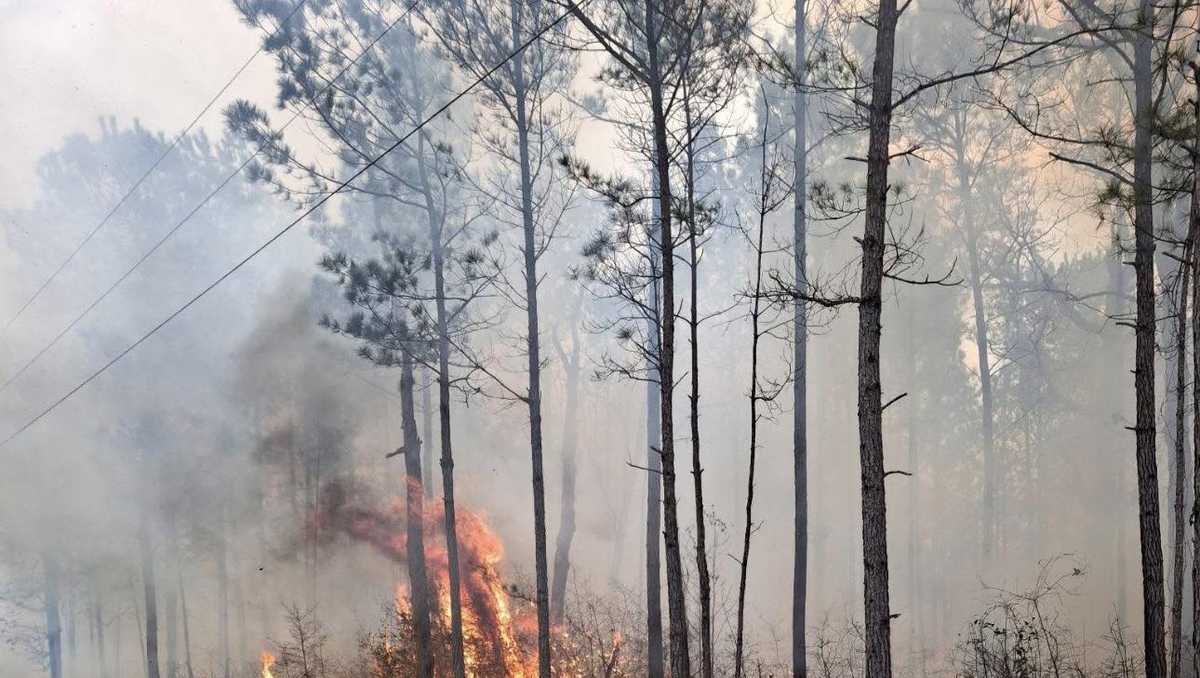 Washington Parish firefighters battle brush fire in Angie