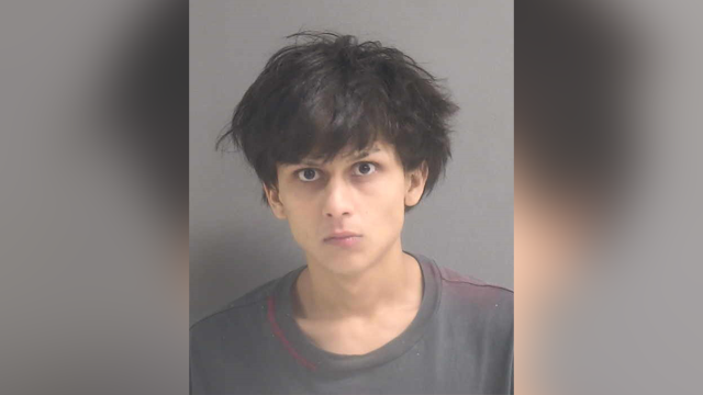 Deltona teenager accused of shooting at woman's vehicle - Vimarsana News