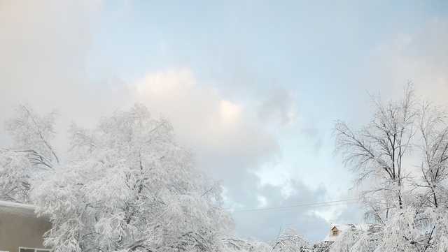 New Mexico Winter Storm - Vimarsana News