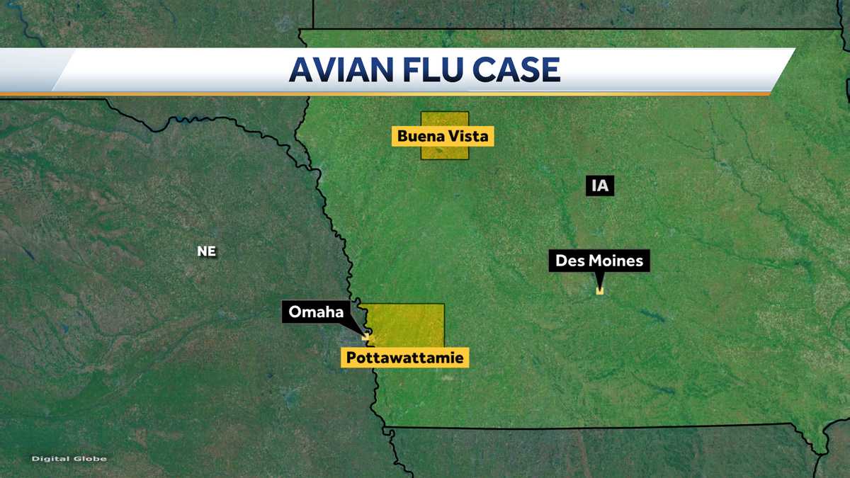 Iowa's governor declares disaster proclamation after positive case of