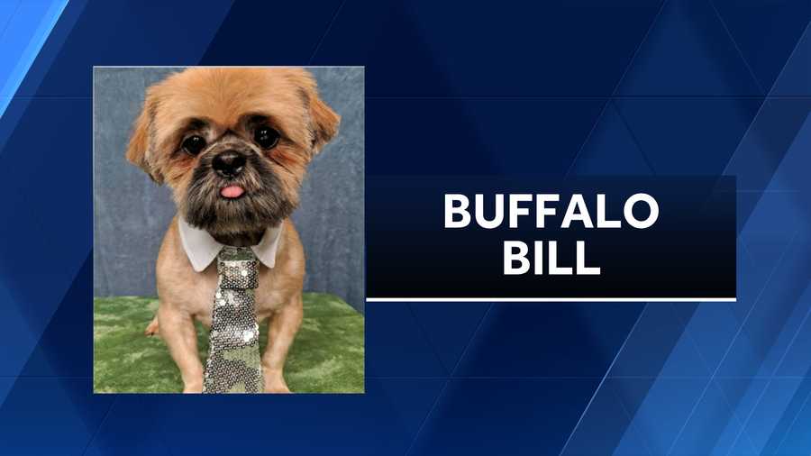 Dog's makeover could win New Albany-Floyd County Animal Shelter $5,000 Dog's makeover could win New Albany-Floyd County Animal Shelter $5,000