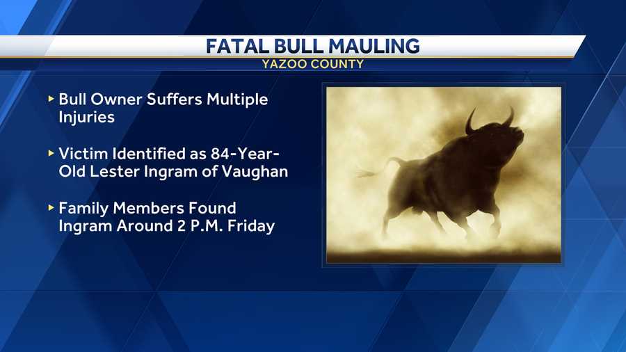 Fatal Bull Mauling