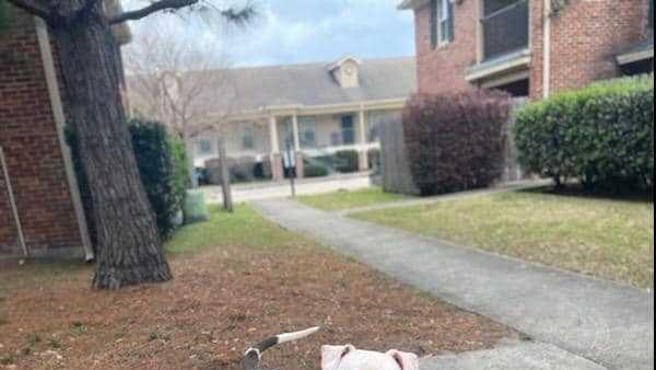 Man searching for dog that went missing after deadly crash - Vimarsana News