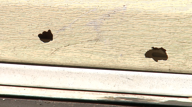 Bullet holes pepper walls of Louisville home; resident wants out