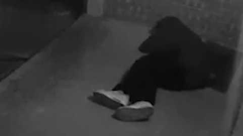 Sleepy burglar caught on camera in Oklahoma City