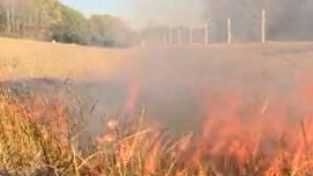 South Carolina: Table Rock prescribed burn - Vimarsana News