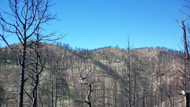 Bass River fire near Tuckerton burning through 3,100 acres