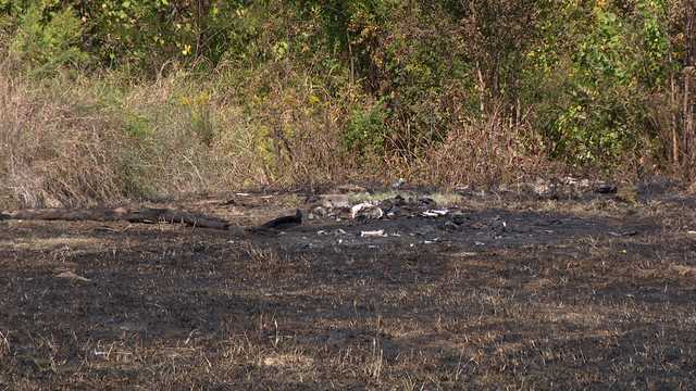 'If any embers get carried into any grass right now, it is going to ignite,' MFC says - Vimarsana News