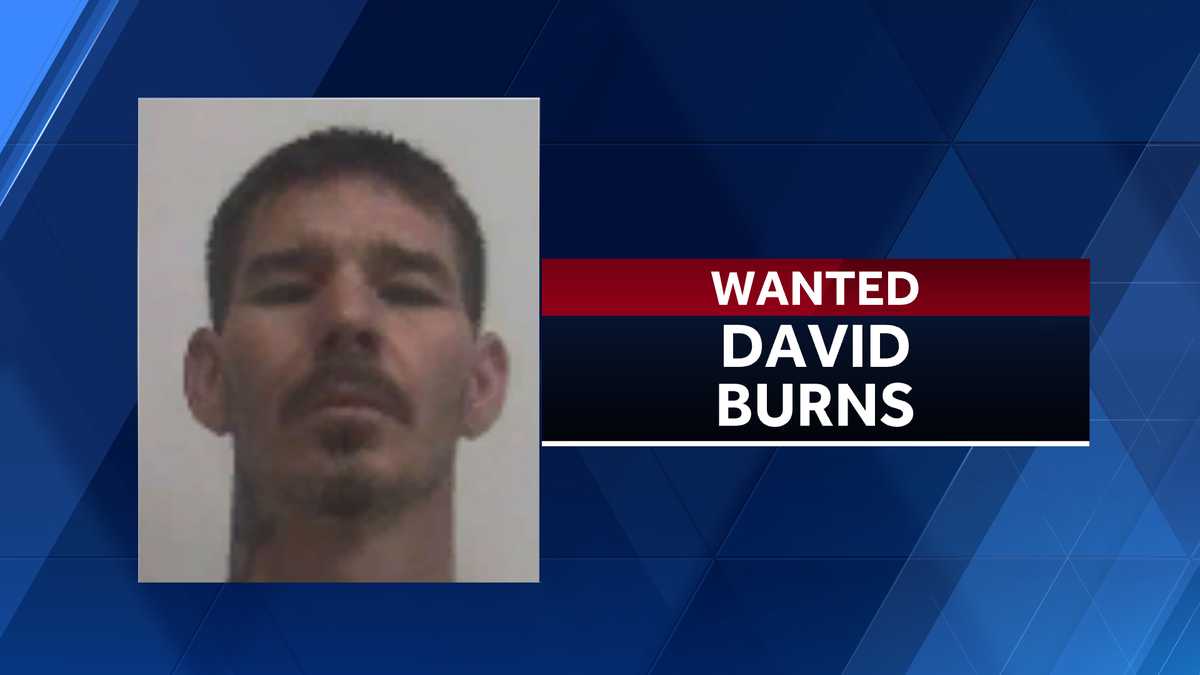 Manhunt: Davidson County deputies searching for wanted man