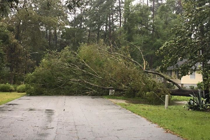 IMAGES: Burnside Island flooding and damage