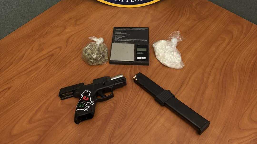 Multiple Two-Person Drug Arrests Seize Meth, Cocaine, Firearms Across US