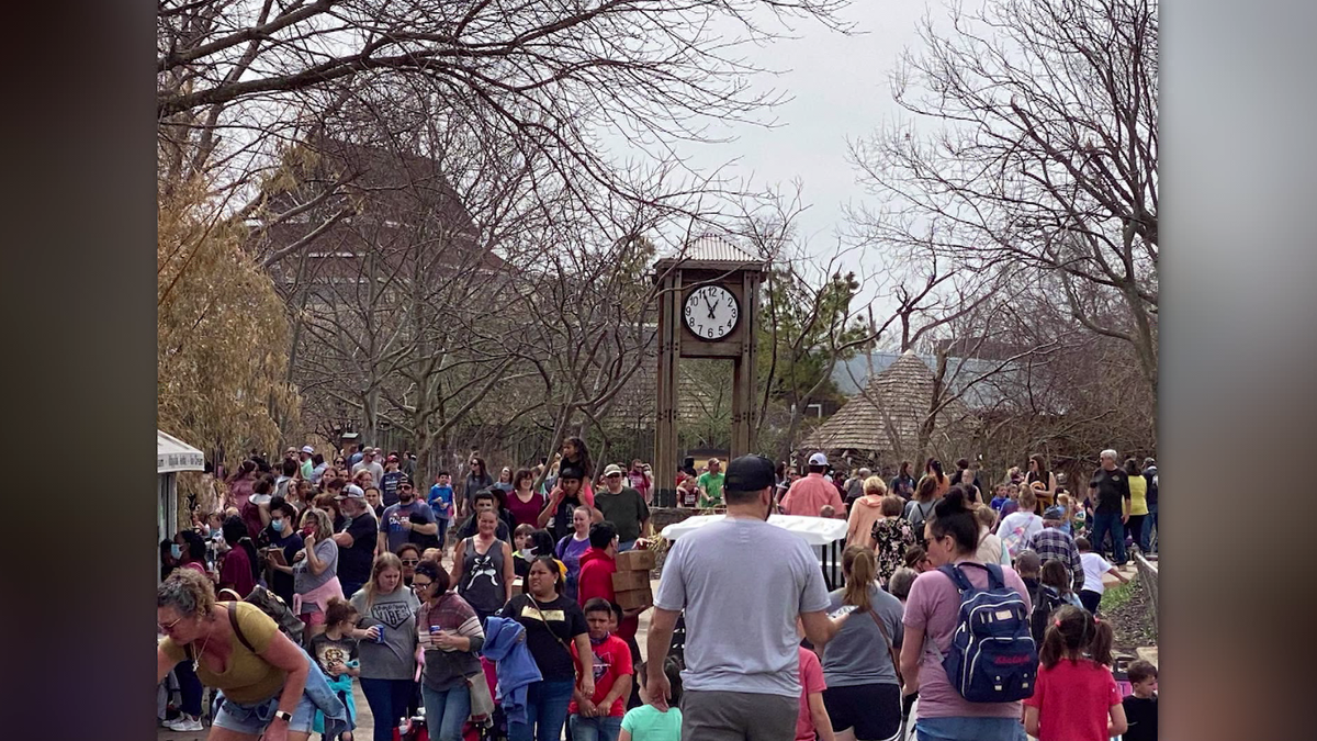 Large crowds spotted at OKC Zoo during spring break