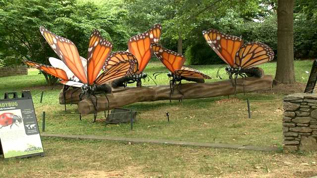 More than a dozen enormous, animatronic bugs on display at Louisville Zoo - Vimarsana News
