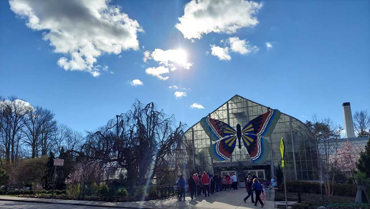 Krohn Conservatory Butterfly Show everything to know before you visit