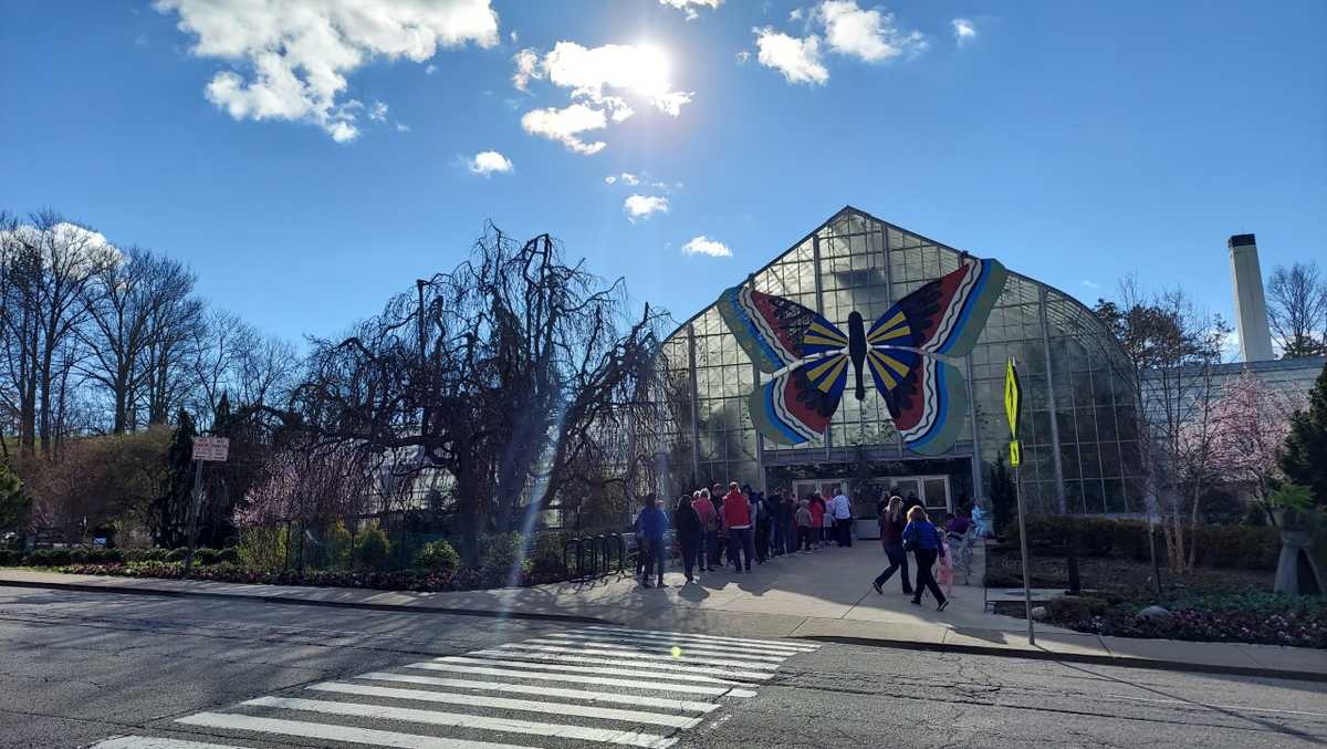 Krohn Conservatory Butterfly Show everything to know before you visit Krohn Conservatory Butterfly Show everything to know before you visit