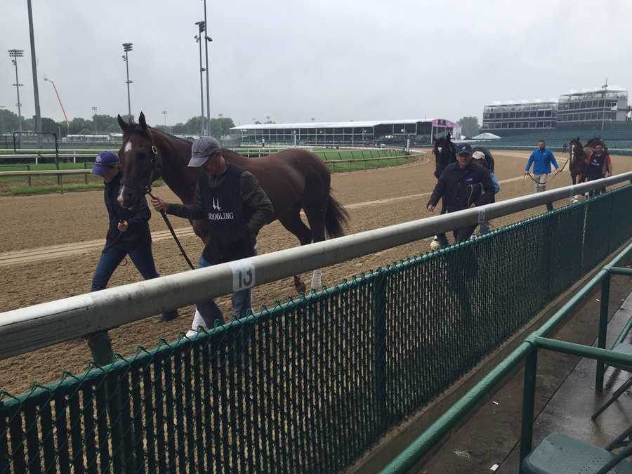 images-thurby-at-churchill-downs