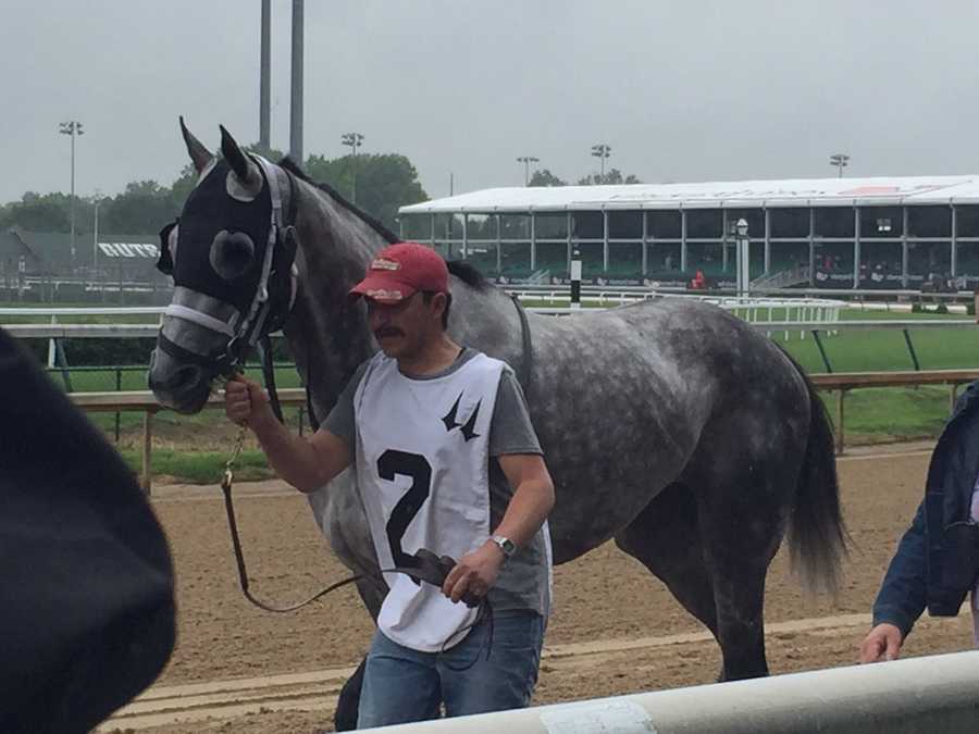 images-thurby-at-churchill-downs