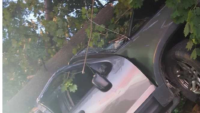Driver stranded for hours after crashing into tree