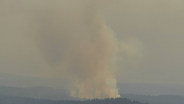 Fast-spreading Cable Fire in El Dorado County prompts evacuations - Vimarsana News