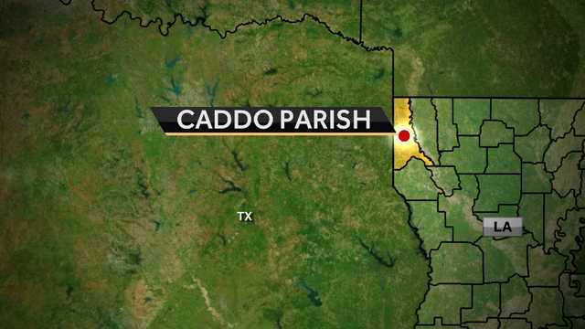 Louisiana sheriff's deputy trampled, gored in leg by bull - Vimarsana News