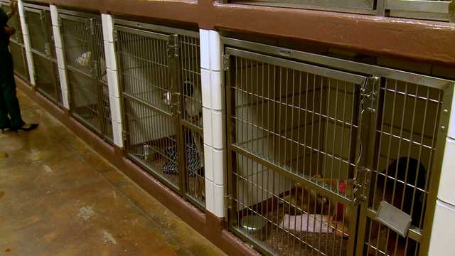 LMAS loses 'no kill' status, starts euthanizing dogs due to overcrowding LMAS loses 'no kill' status, starts euthanizing dogs due to overcrowding