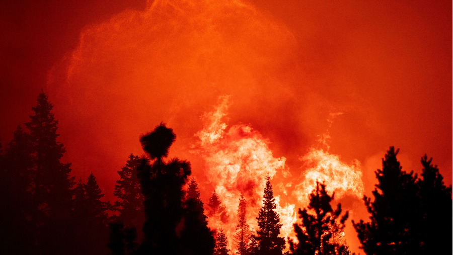 topshot - flames and embers tower into the sky as firefighters work to protect homes from the caldor fire in twin bridges, california on august 29, 2021.