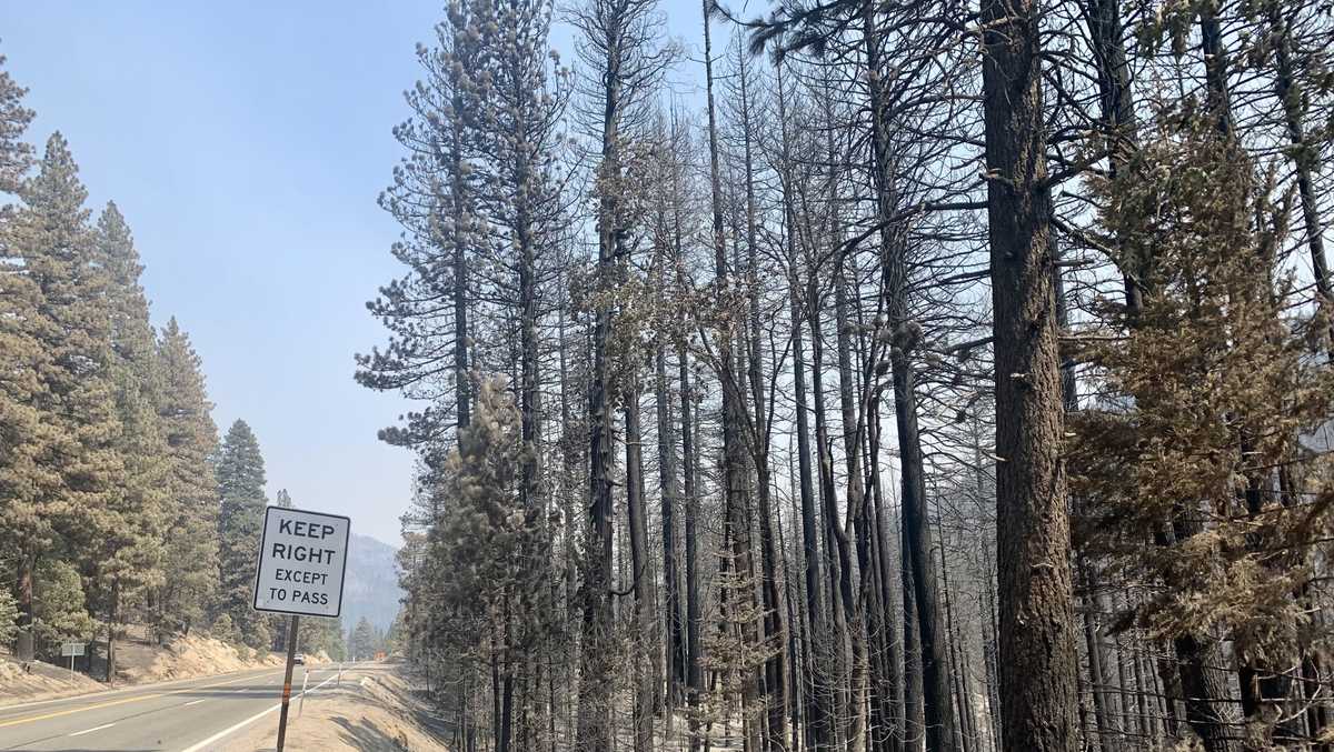 Caldor Fire 'reckless arson' suspects also face weapons charges