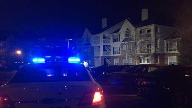 Several apartments damaged in fire at Greenville County complex