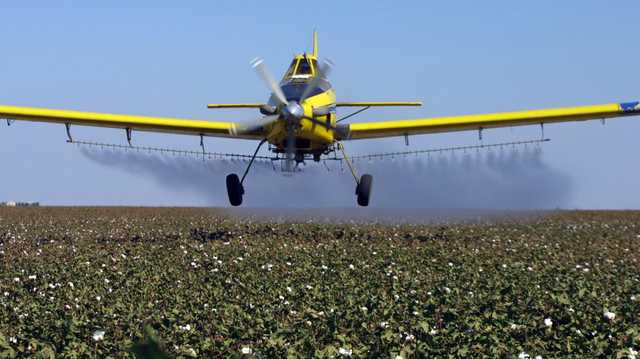 Pesticide found in surface water in California over past decade