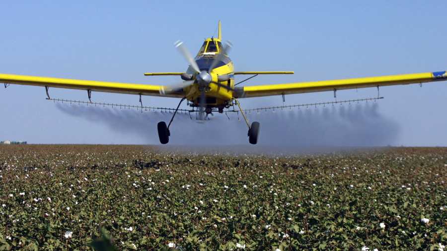 FILE - A crop dusting plane from Blair Air Service dusts cotton crops in Lemoore, Calif., on Sept. 25, 2001. A California judge has ordered a halt to a state-run program of spraying pesticides on public lands and some private property, saying officials failed to assess the potential health effects as required. (AP Photo/Gary Kazanjian, File)