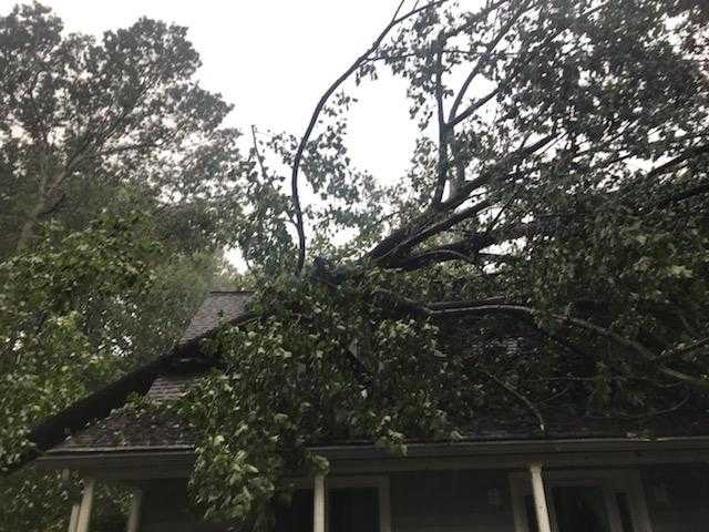 Photos: Tropical Storm Isaias Causes Damage Across Maryland