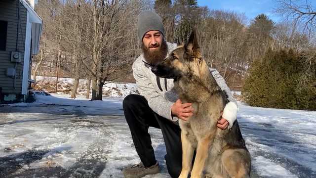 Dog leads NH police to scene of I-89 crash, injured owner - Vimarsana News