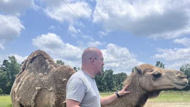 South Carolina: 57 animals seized neglect investigation - Vimarsana News