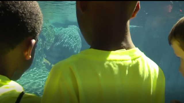 List Summer Camp Programs For Kids Across Greater Cincinnati