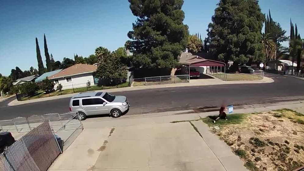 West Sacramento City Council candidate says child stole campaign yard sign