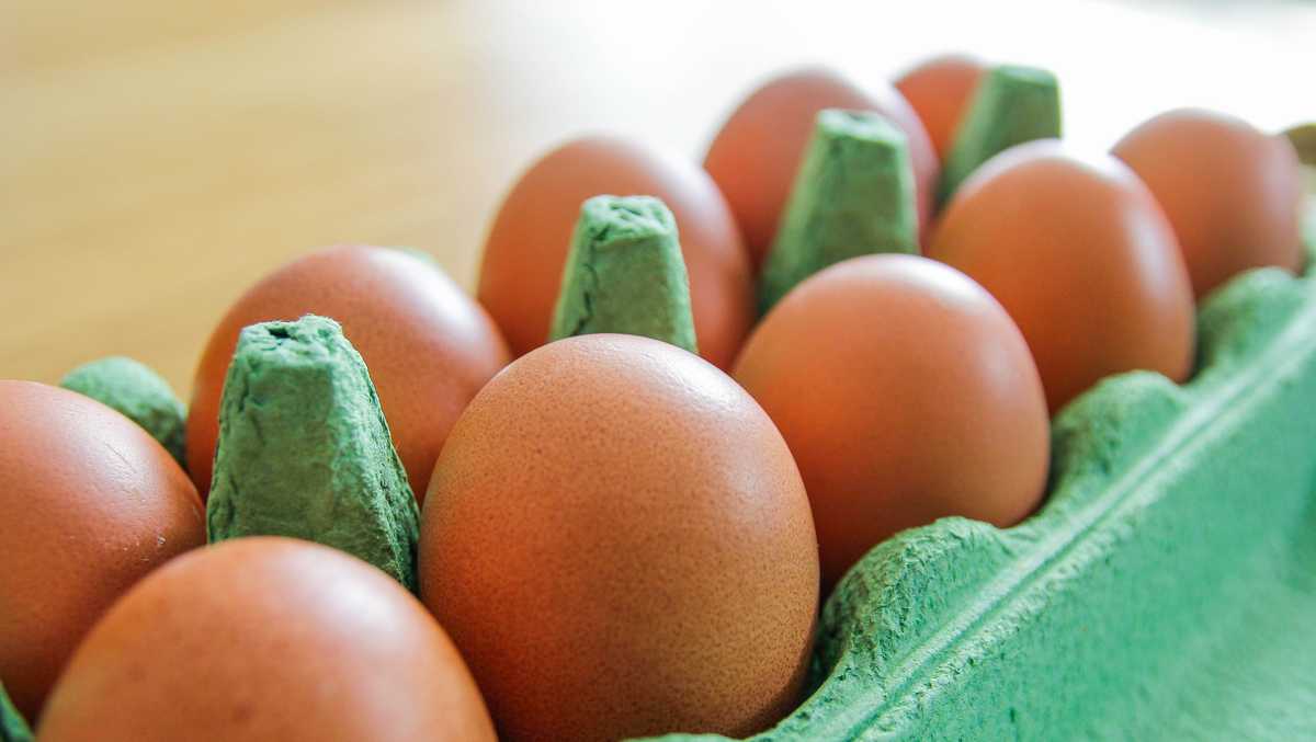 can-removing-eggs-from-diet-lower-cholesterol