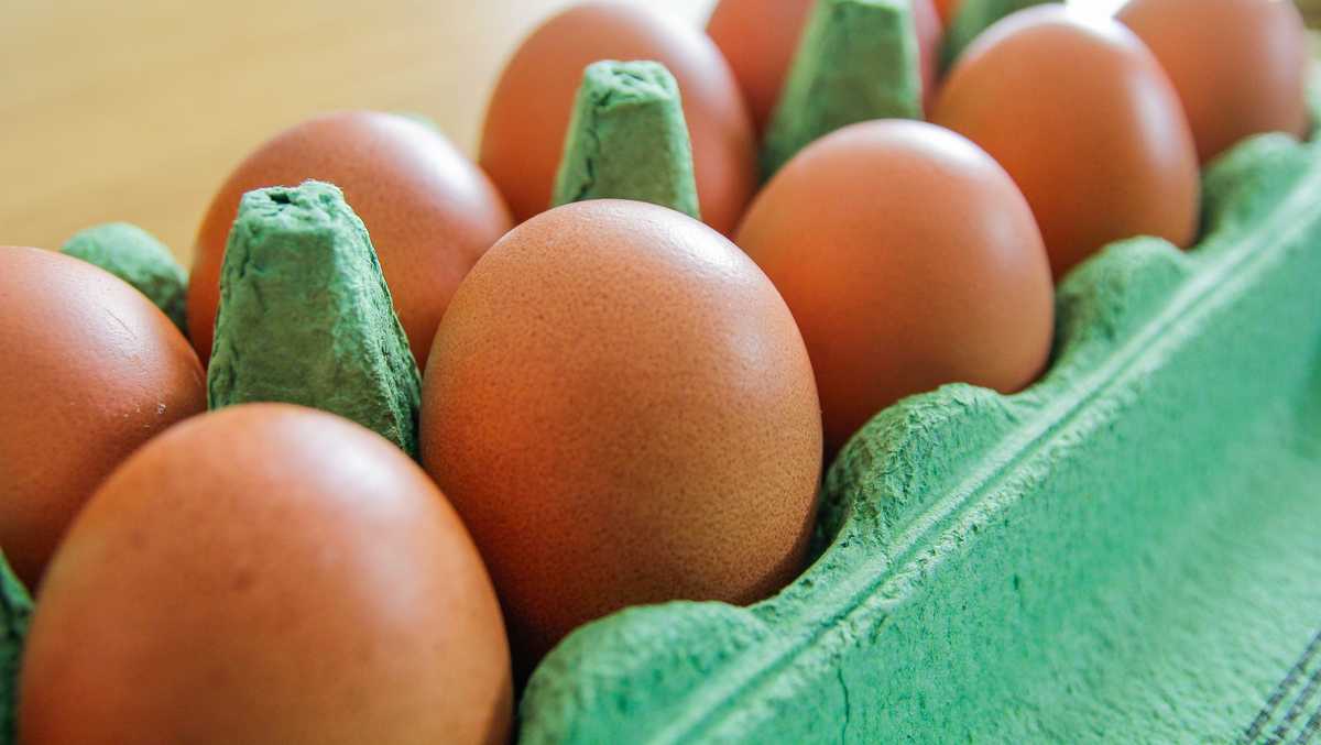 Can Removing Eggs From Diet Lower Cholesterol can-removing-eggs-from-diet-lower-cholesterol